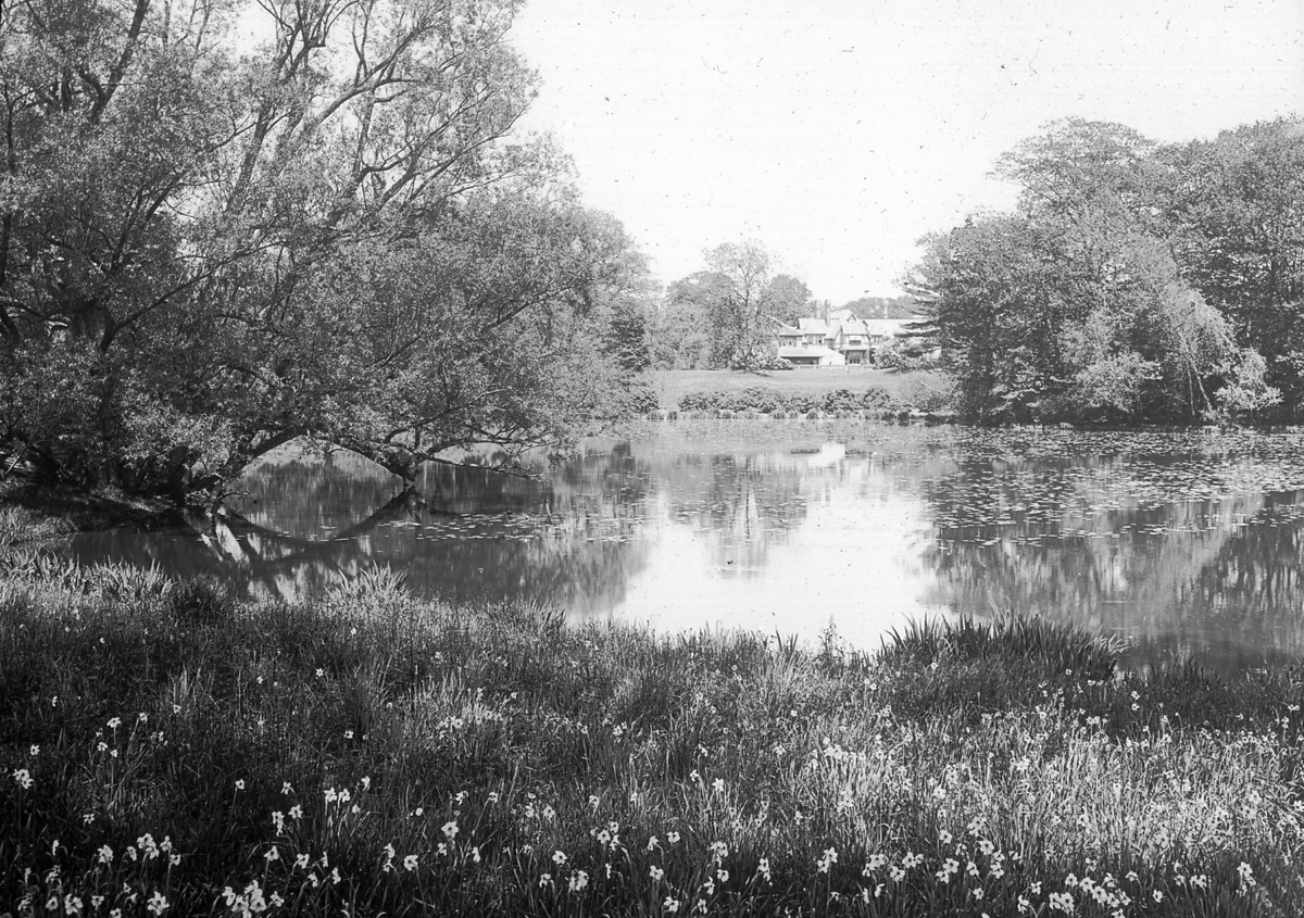 Sargent Estate Across Sargent Pond