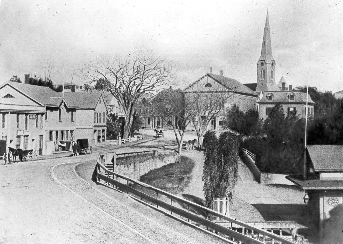 Brookline Village, Looking North on Washington St., 1865