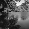 Leverett Pond