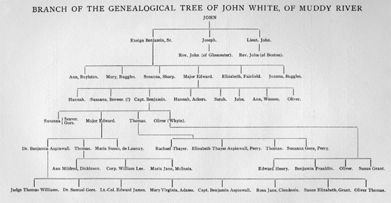 White Family Tree