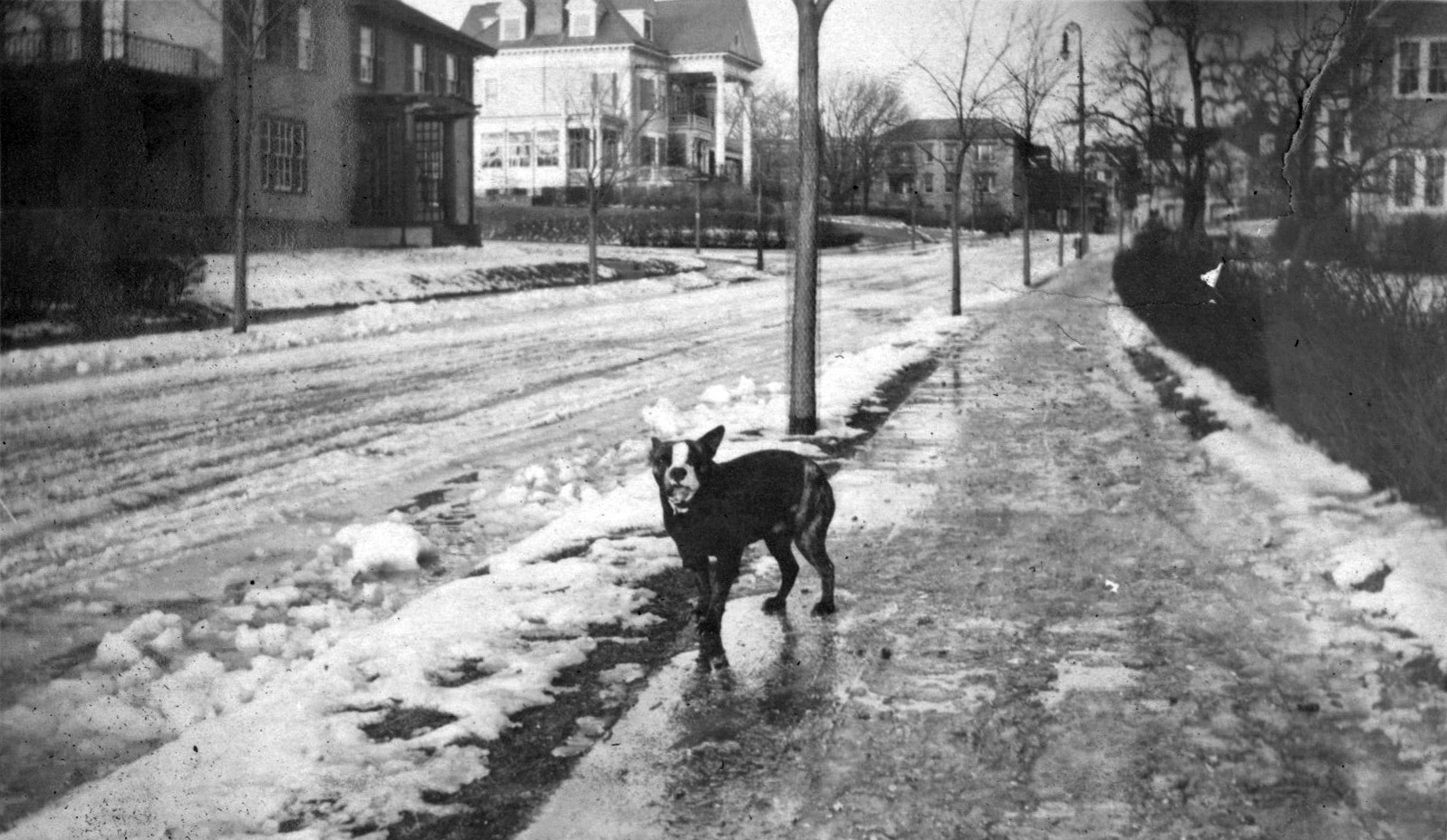 Downing Rd., January 19, 1915