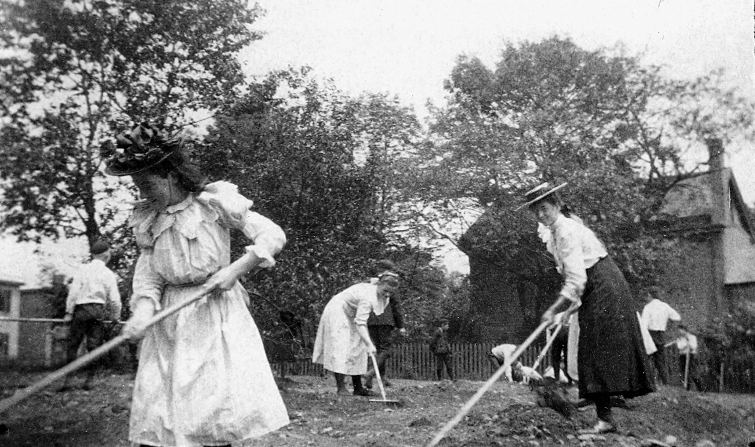 Lincoln School Garden Project, September 1903