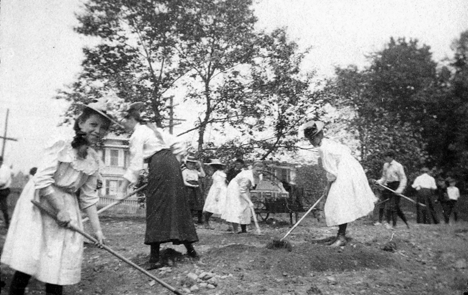 Lincoln School Garden Project, September 1903