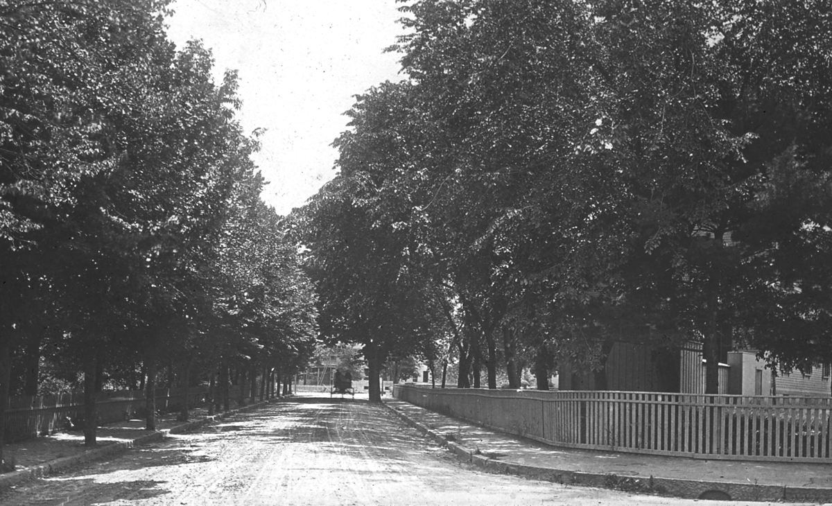 Pleasant St. Viewed From Beacon St., 1886