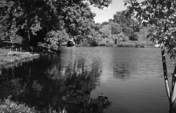 Leverett Pond